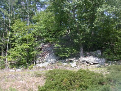 104 Blue Heron Way, Hawley, PA 18428 - photo 2