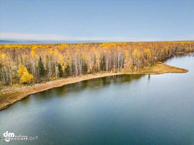 10331 N Little Lonely Lake Rd, Willow, AK 99688 - photo 6