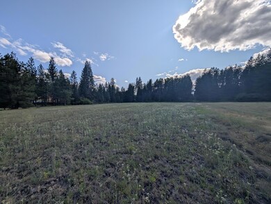 PXL_20250623_002211819