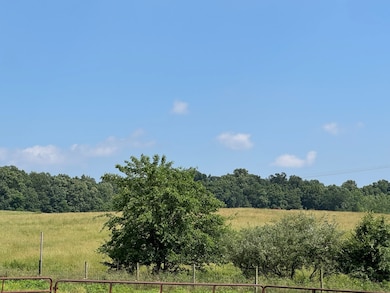 0 1100 N, Buffaloville, IN 47550 - photo 3