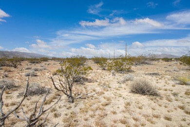 IMG_4661