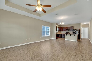 342 Fanny Ann Way MLS Size-5