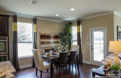 10636 Hibiscus Cove, Helotes, TX 78023 - photo 4