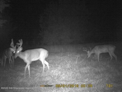 236 INDIAN CREEK - DEER