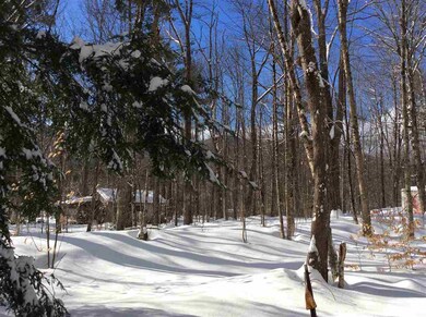 0 Jericho unit 4675486, Bartlett, NH 03812 - photo 2