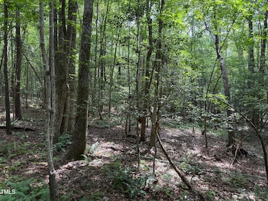 3848 Furrow Ln, Franklinton, NC 27525 - photo 4