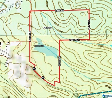 10000 Eastern Valley Rd, Woodstock, AL 35188 - photo 3