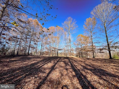 20.76 Bull Neck Rd, Supply, VA 22436 - photo 5