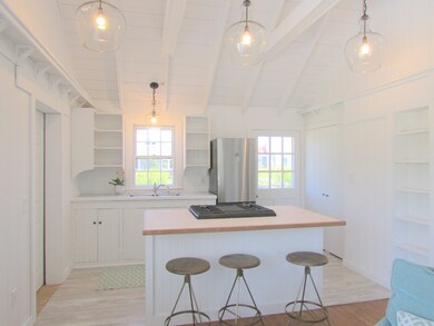 Kitchen with new island and lighting.