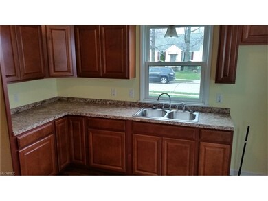 Brand New Kitchen with lots of cabinets, double st