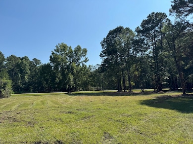 1694 Fish Rd unit 1-5, Ridgeville, SC 29472 - photo 7