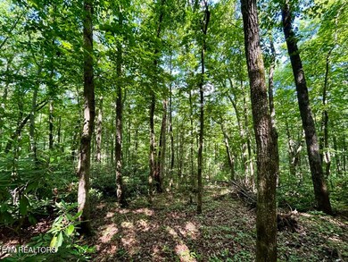 TBD Grand Country Dr, Cosby, TN 37722 - photo 4