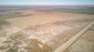 0 Fm Highway 54 Tract 8 unit 202563434, Abernathy, TX 79311 - photo 4