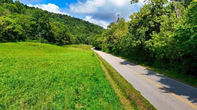 0 Big Hill Rd, Liberty, TN 37095 - photo 7