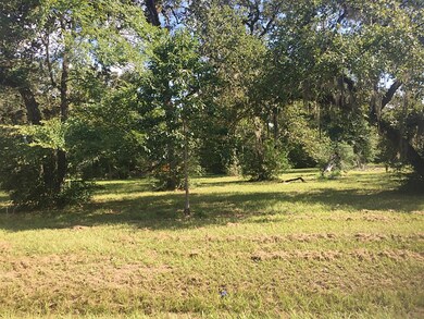 0 Shady Oak unit 11165447, Hockley, TX 77447 - photo 2