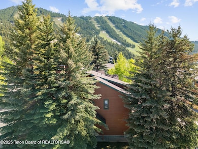 Drone Tree View