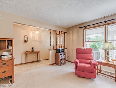 1131 Stonecrest Dr, Tallmadge, OH 44278 - photo 3