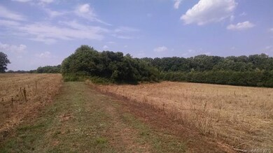 000 Bussell Rd, Statesville, NC 28625 - photo 5