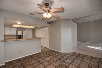 1103 W Estrella Dr, Chandler (5)