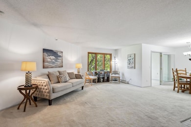 14601 Atrium Way unit 329, Minnetonka, MN 55345 - photo 3