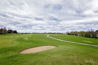 1008 Interloch Ct unit 153, Algonquin, IL 60102 - photo 4