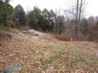 805 Wellington Hill Rd E, Putney, VT 05346 - photo 5