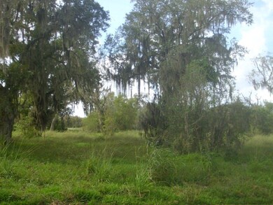 0 Cr 461a, Brazoria, TX 77422 - photo 3