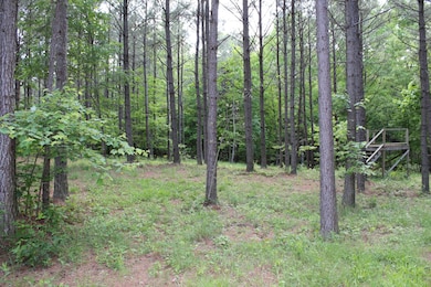 110 Compass Dr, Jasper, TN 37347 - photo 6