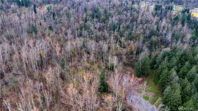 0 E Badger Rd, Everson, WA 98247 - photo 7