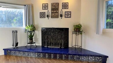 MY WOOD-BURNING FIREPLACE!