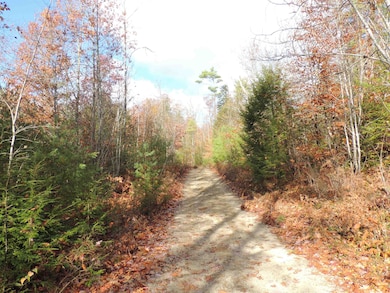 140 Chickville Rd, Ossipee, NH 03864 - photo 7