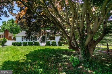 151 S Maple Ave, Purcellville, VA 20132 - photo 6