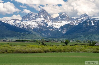 Teton View