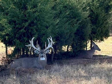 368145 E 980 Rd, Boley, OK 74829 - photo 3