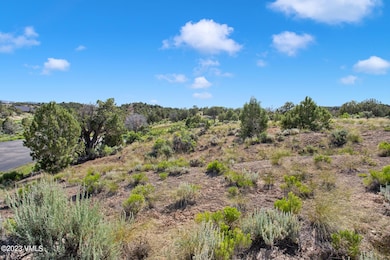 221 Chaparral Ranch Rd-005-002-Neighborh