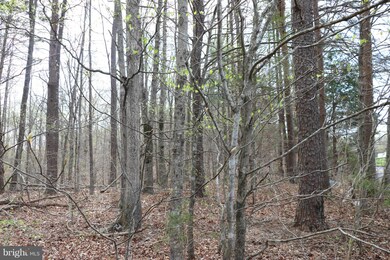 0 Mallorys Ford Rd unit 1000142097, Gordonsville, VA 22942 - photo 4