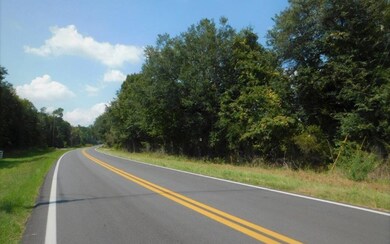 0 Us-41 Moore Rd unit 105617, Lake City, FL 32055 - photo 2