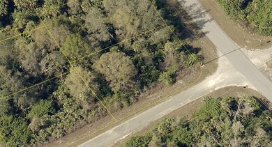 Different views of the lot