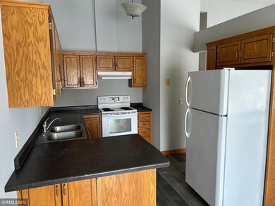 6420 Starlite Cir NE, Minneapolis, MN 55432 - photo 4