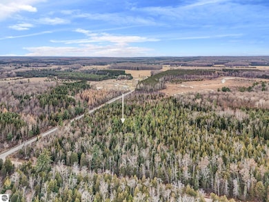 VL S 27 Rd, Hoxeyville, MI 49601 - photo 6