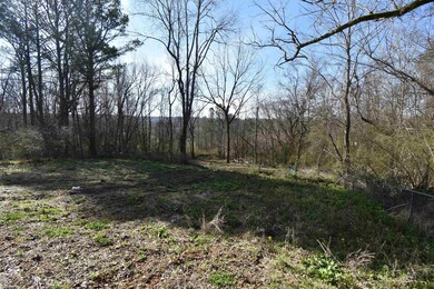 112 Perry St, Linden, TN 37096 - photo 6