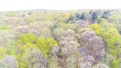 Lot 69 Decker Creek Dr, Palmyra Township, PA 18428 - photo 7