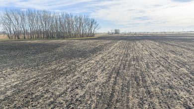 1-117-48W Lowe Twp Deuel County, Revillo, SD 57259 - photo 7