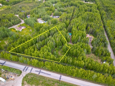 Drone View