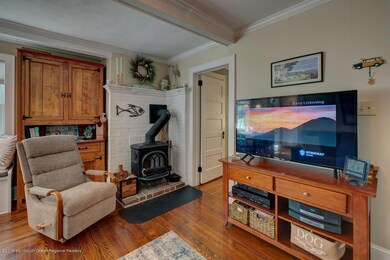24 steiner woodstove