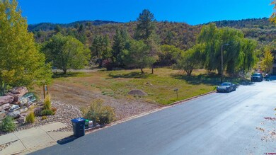 170 Metz Ln, Durango, CO 81301 - photo 4