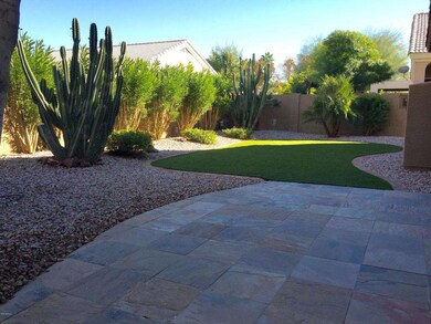 Beautiful backyard