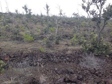 Beautiful Pahoehoe lava on Lot 6 Blk 334 Sea View Dr