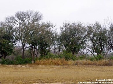 1317 Gruene Leaf Dr, New Braunfels, TX 78130 - photo 5