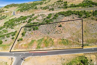 3135 E Cougar Moon Way, Kamas, UT 84036 - photo 7